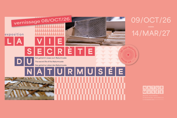 The Secret Life of the Naturmusée: 30 years in the Grund